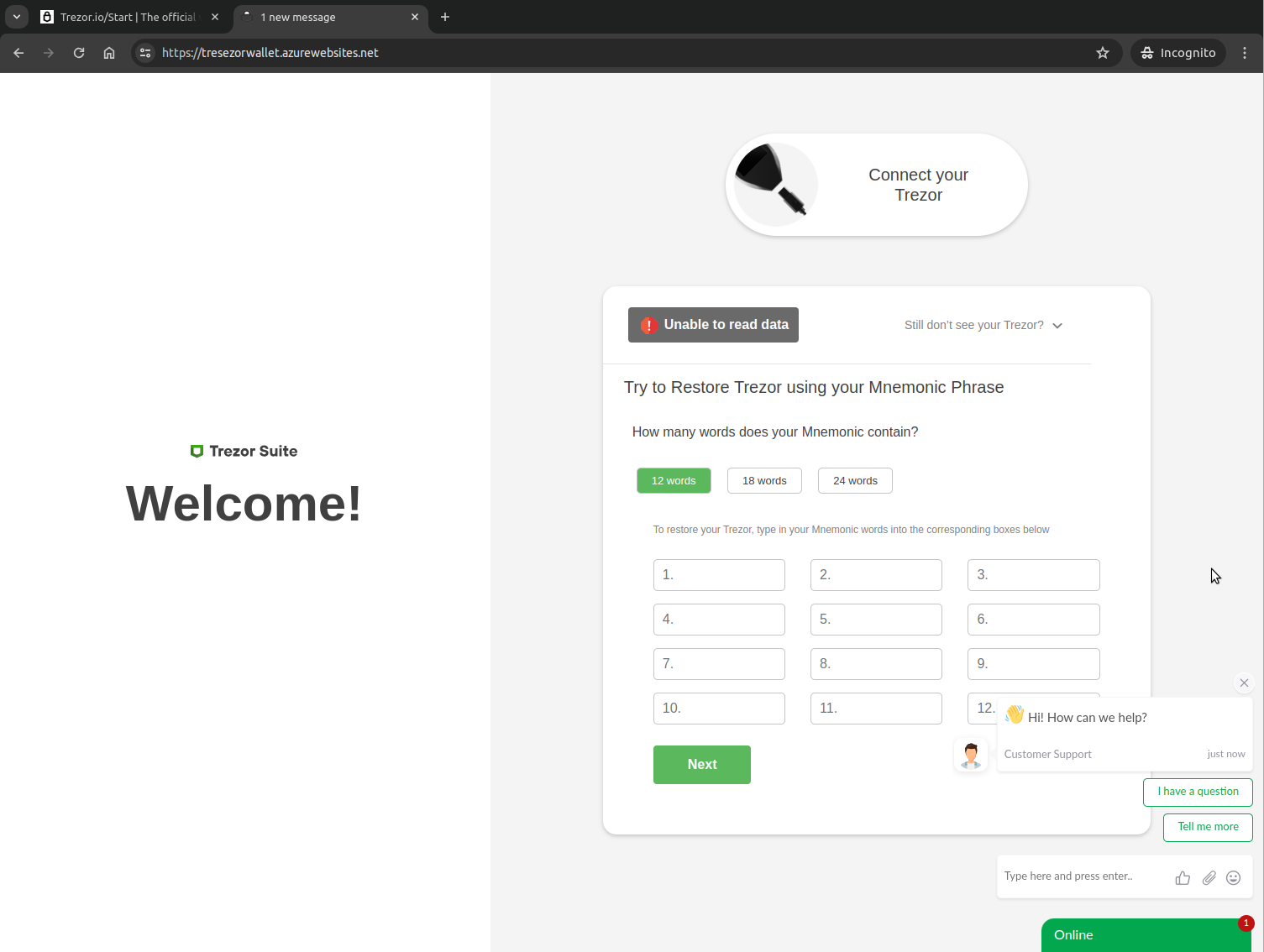 [capture] Live chat interaction on a phishing page hosted in Azure