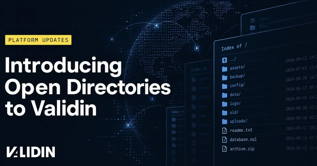 Introducing Open Directories to Validin